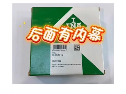 INA SL192310 长什么样子